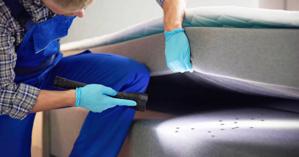 Pest Prevention Services in Unionville, GA