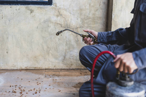 Best Residential Pest Control  in Unionville, GA